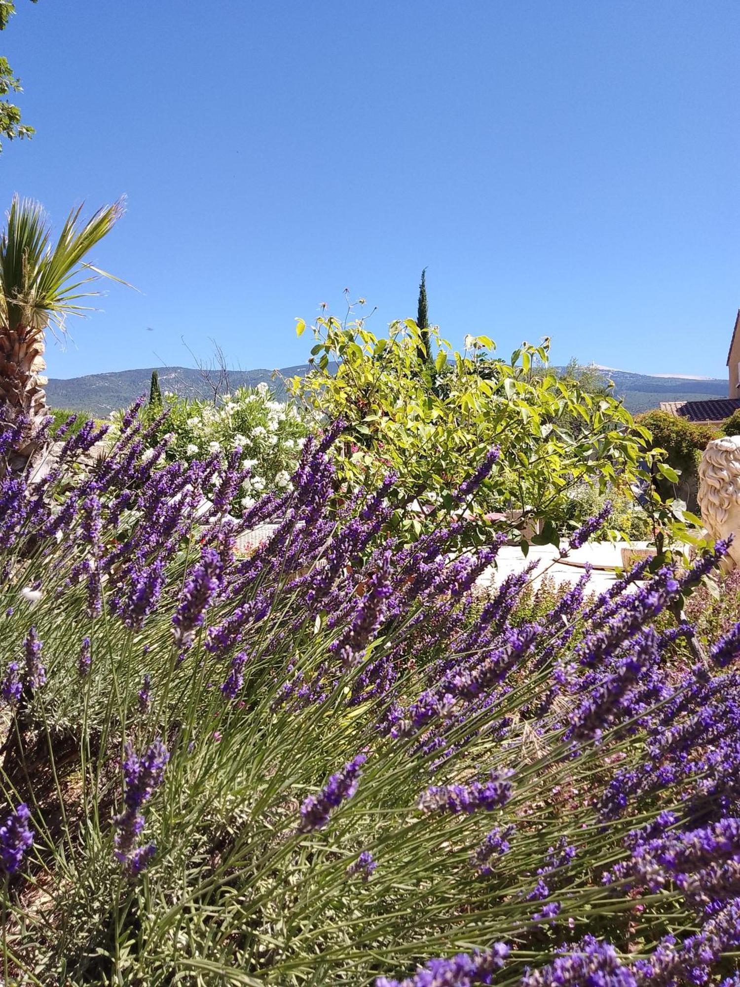 Les Gites Du Mont Ventoux Бедуен Екстер'єр фото